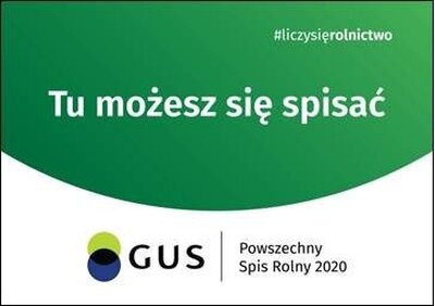 Grafika dekoracyjna